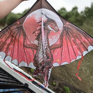 Majestic Red, White, And Black Dragon Kite 59" W X 74" TAILS